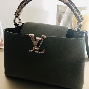 Special edition LV Cappucine Bag